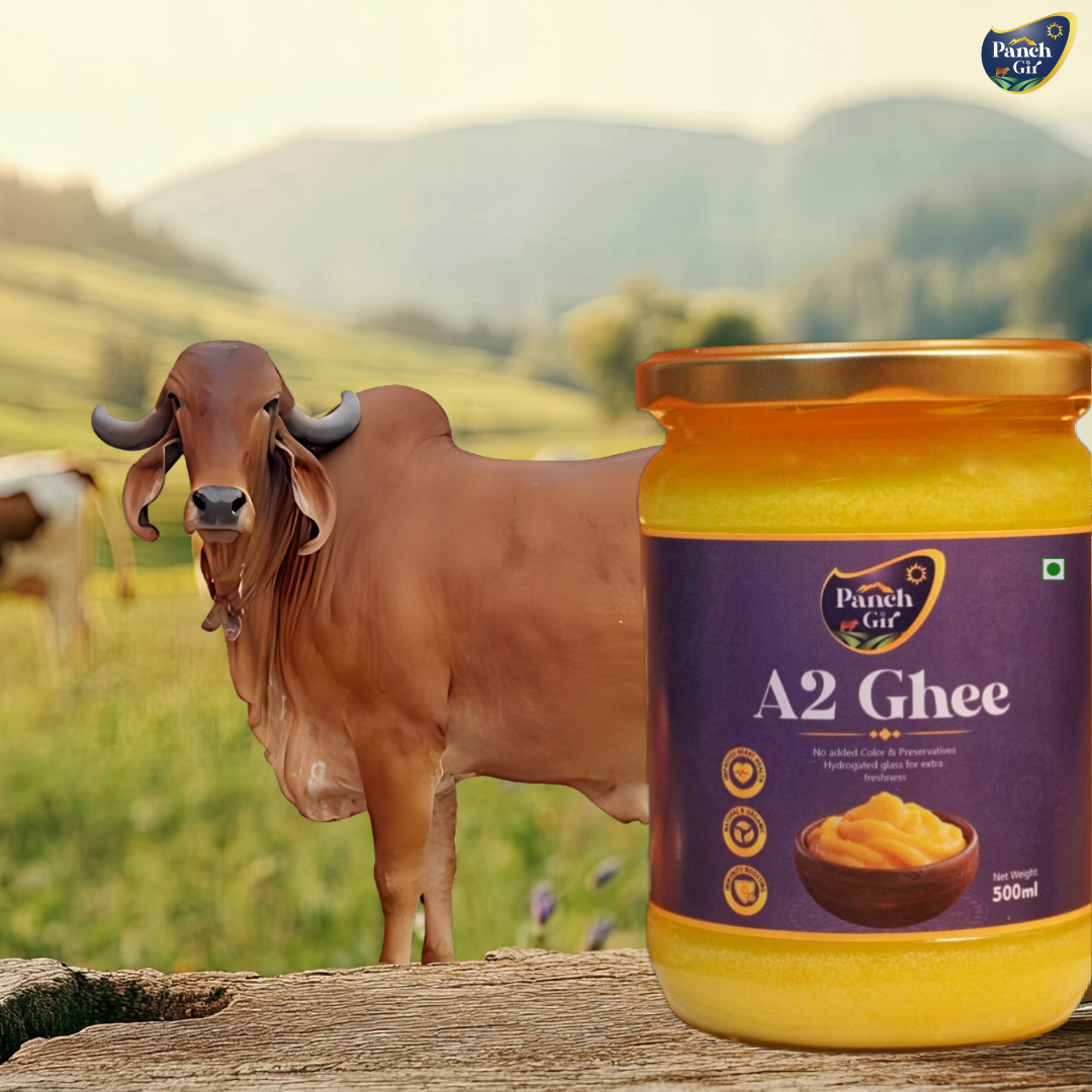 PanchGir A2 Gir Cow Ghee | Traditional Bilona Method | Pure Desi Cultured Ghee