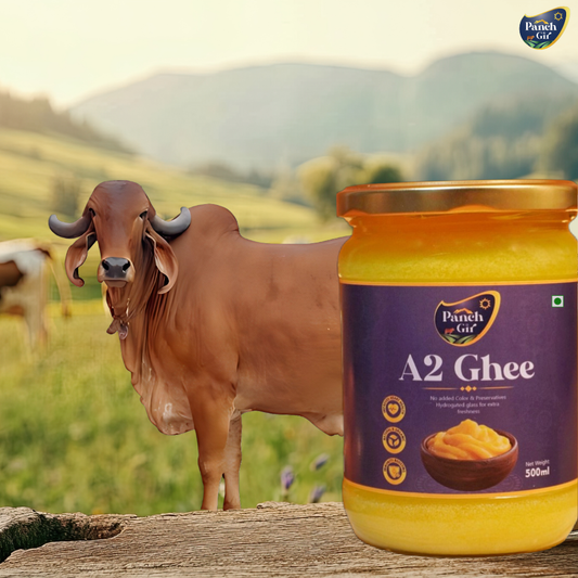 PanchGir A2 Gir Cow Ghee | Traditional Bilona Method | Pure Desi Cultured Ghee